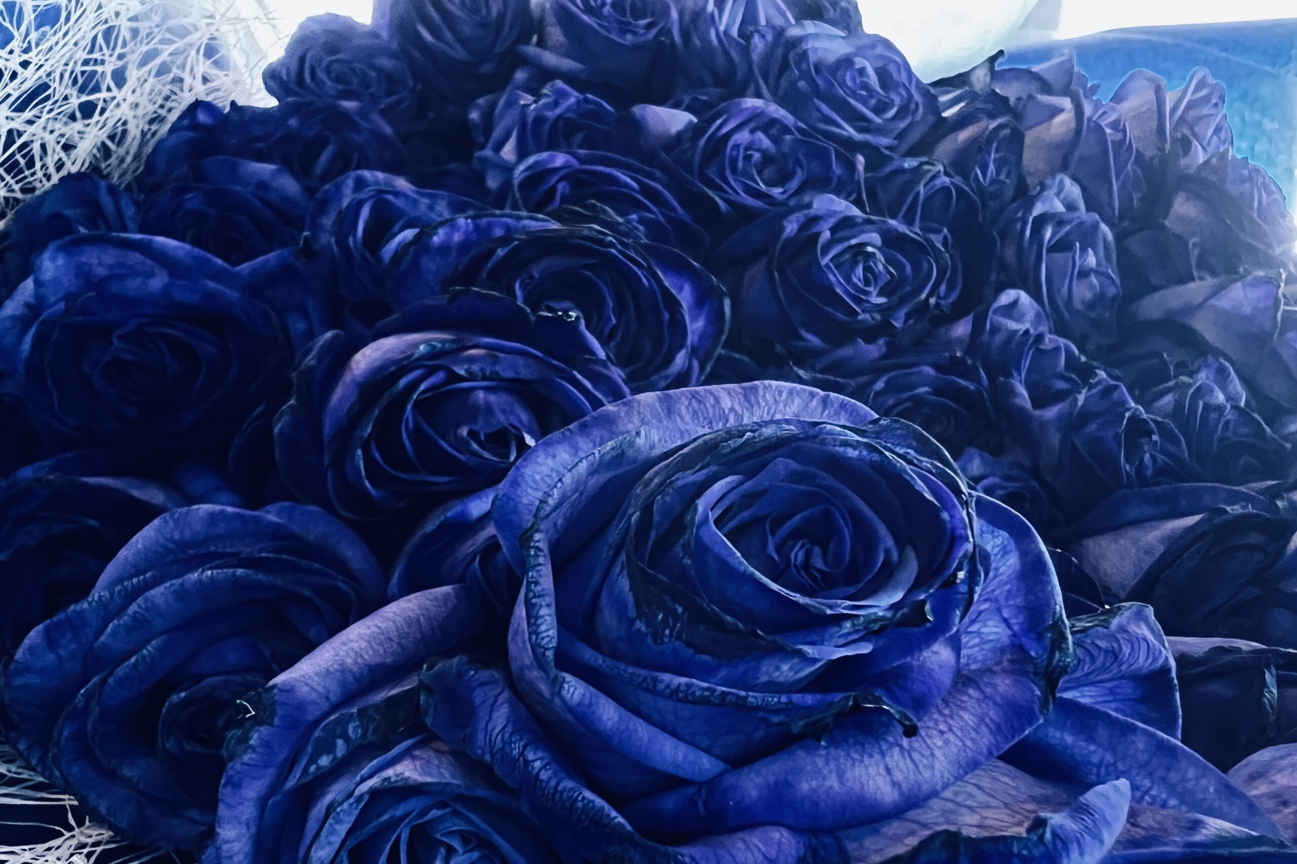 プロポーズの余韻まで美しく残す撮影イメージ