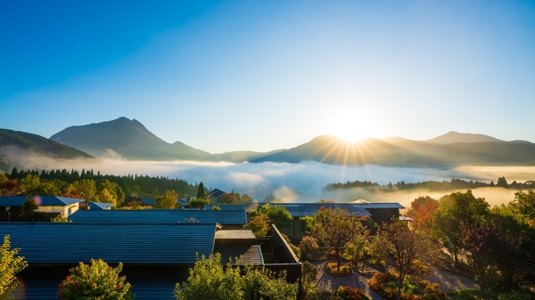 朝霧のみえる宿 ゆふいん花由
