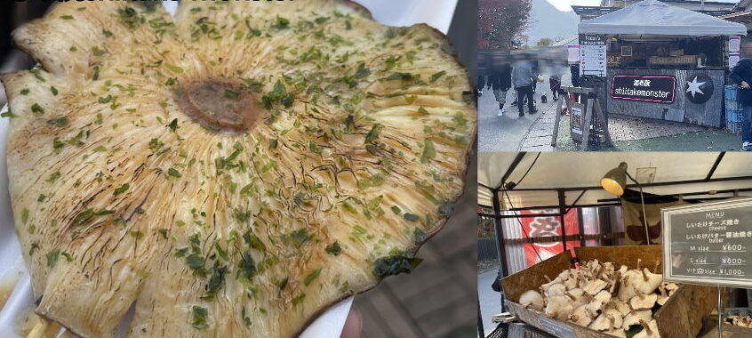 しいたけのイメージ