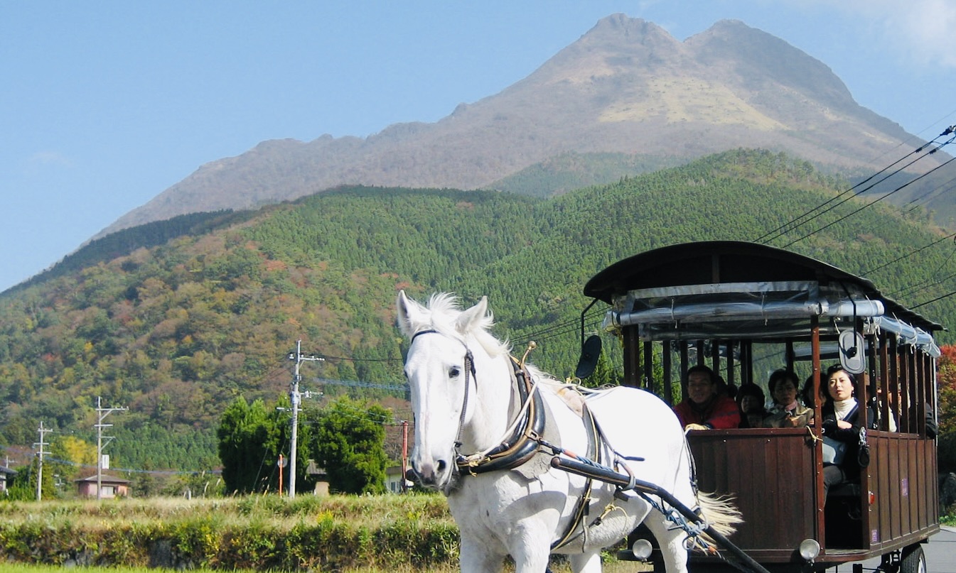観光辻馬車（差し替え用イメージ）