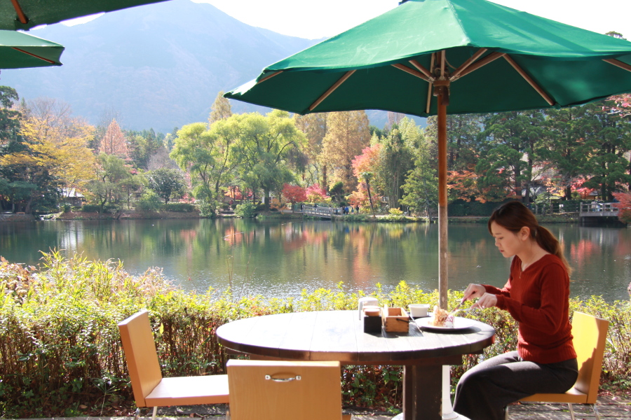 湯布院カフェ巡りのイメージ画像（差し替え）